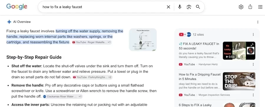 ai overview result for how to fix a leaky faucet