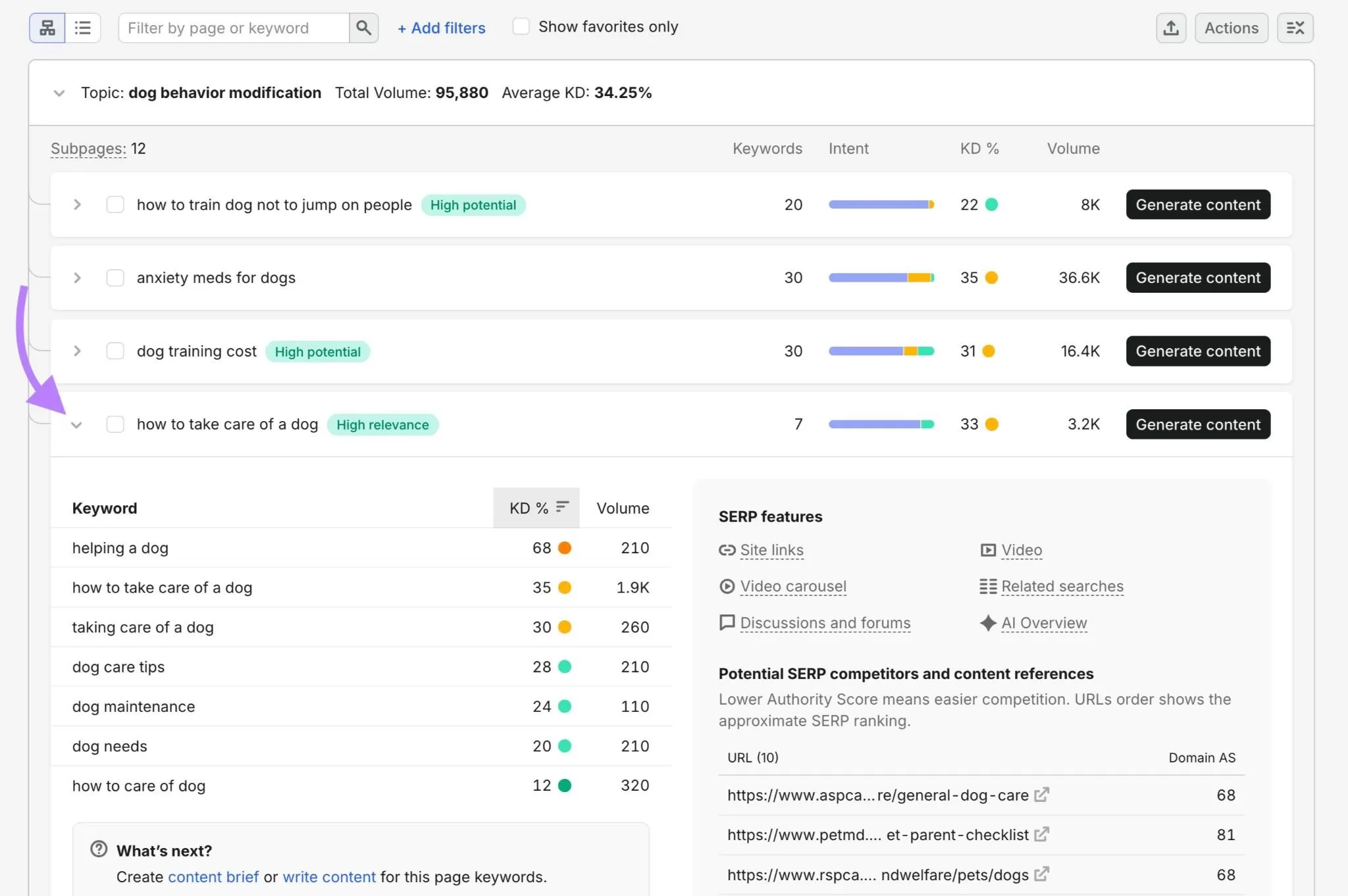 Degree requirements for Content SEO Managers